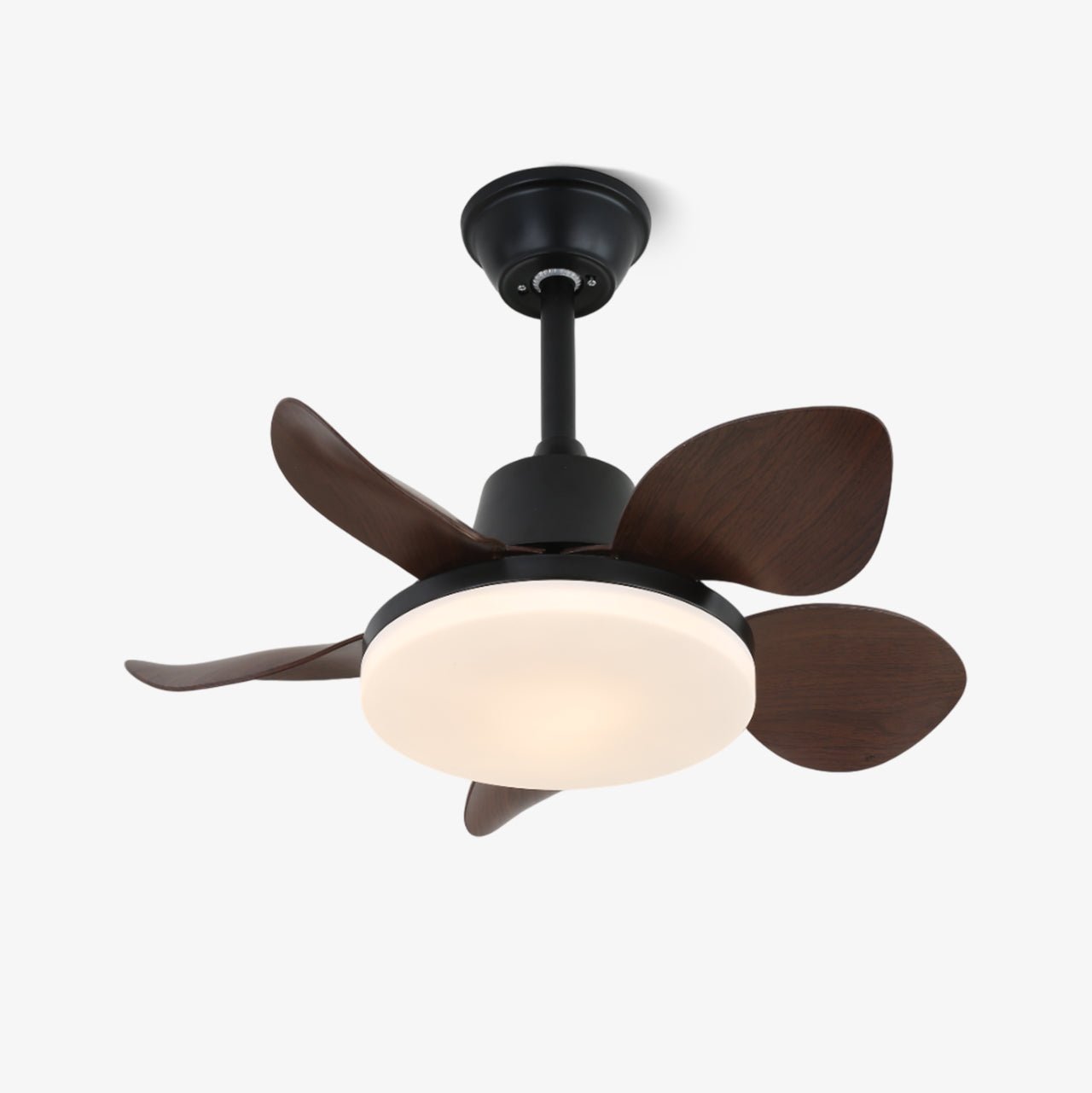 Amelia Ceiling Fan Light