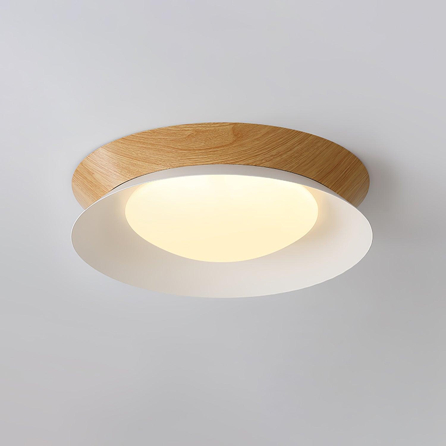 Double Half Round Ceiling Light