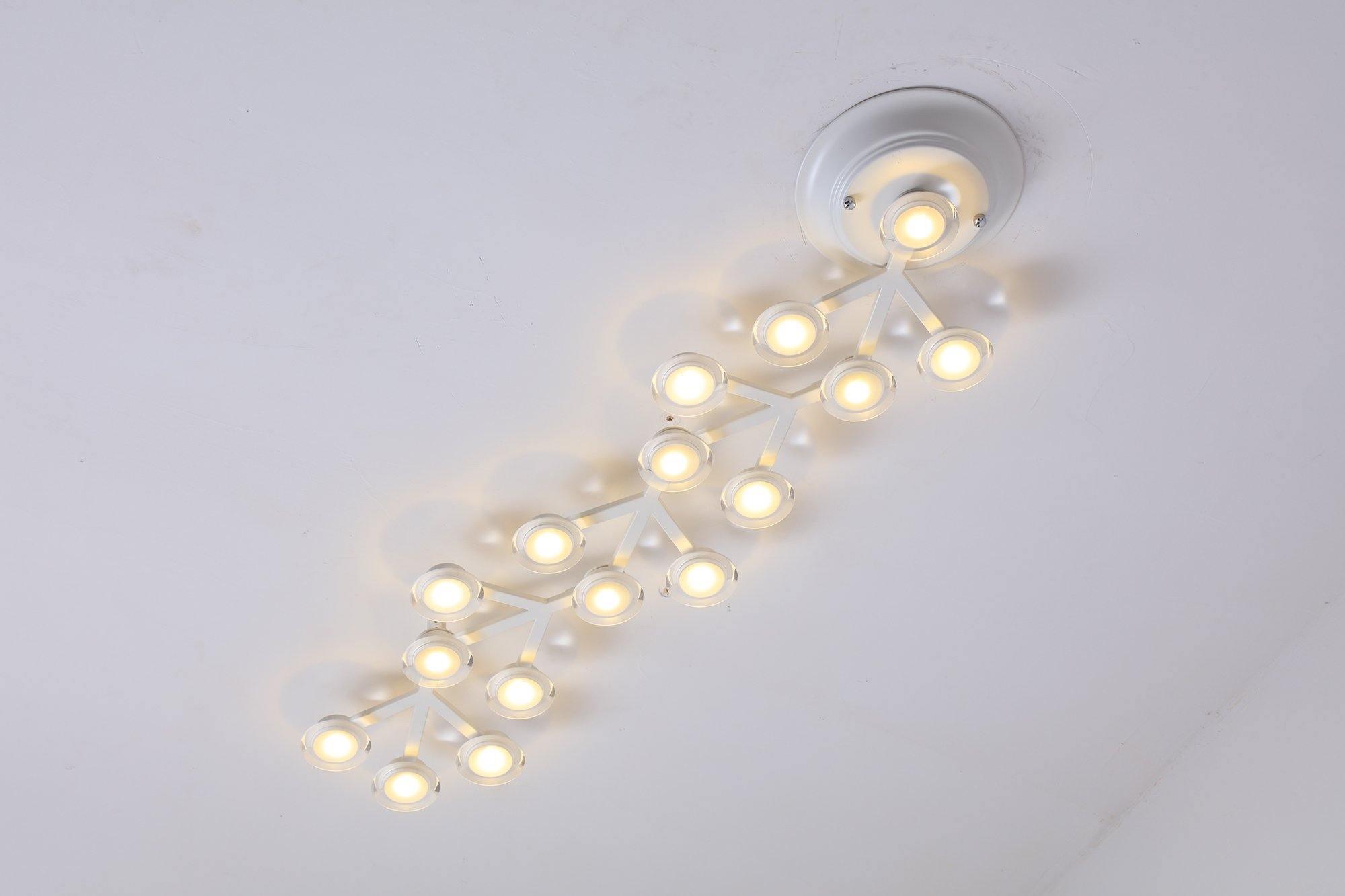 LED Net Ceiling Lamp