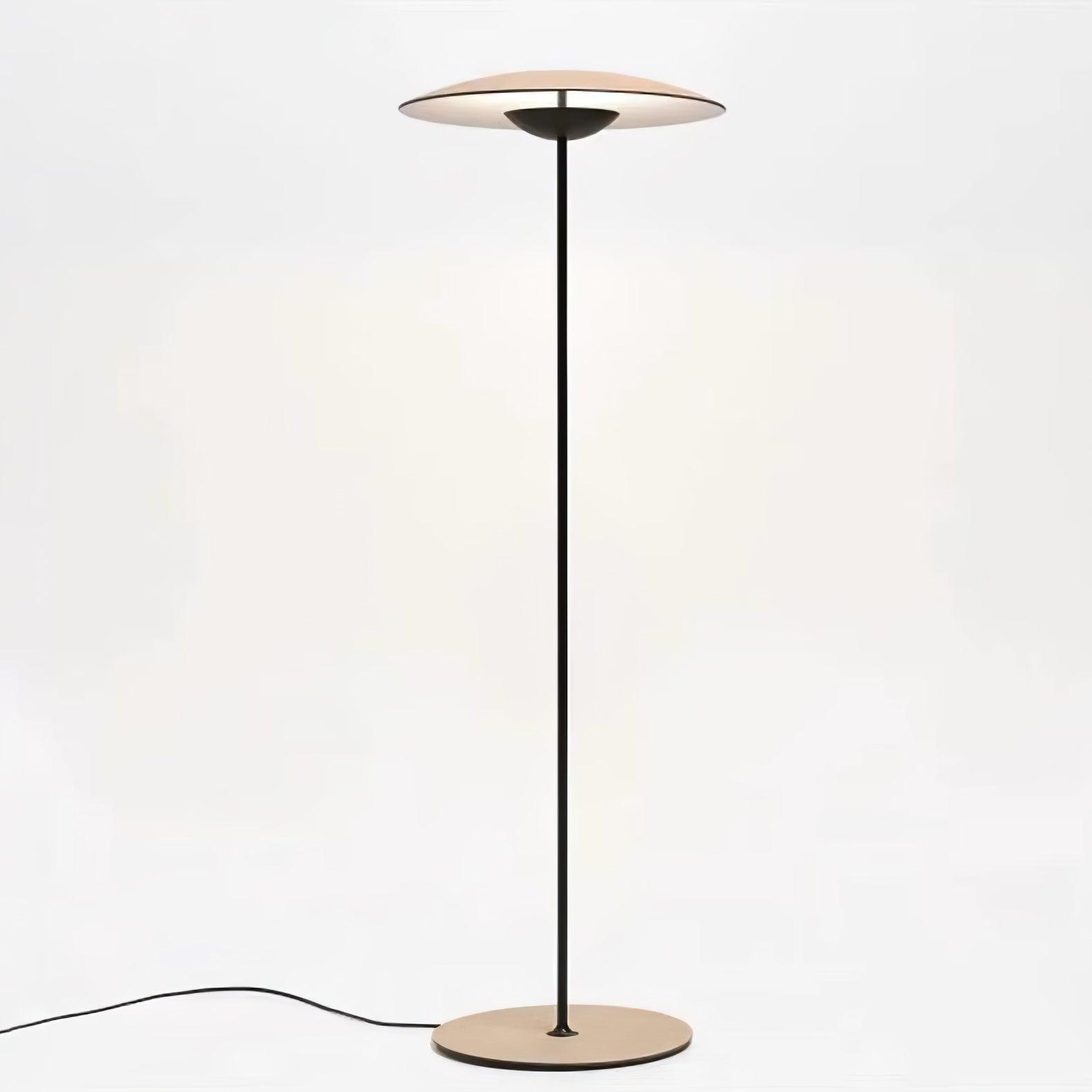 Innovative Directional Floor Lamp