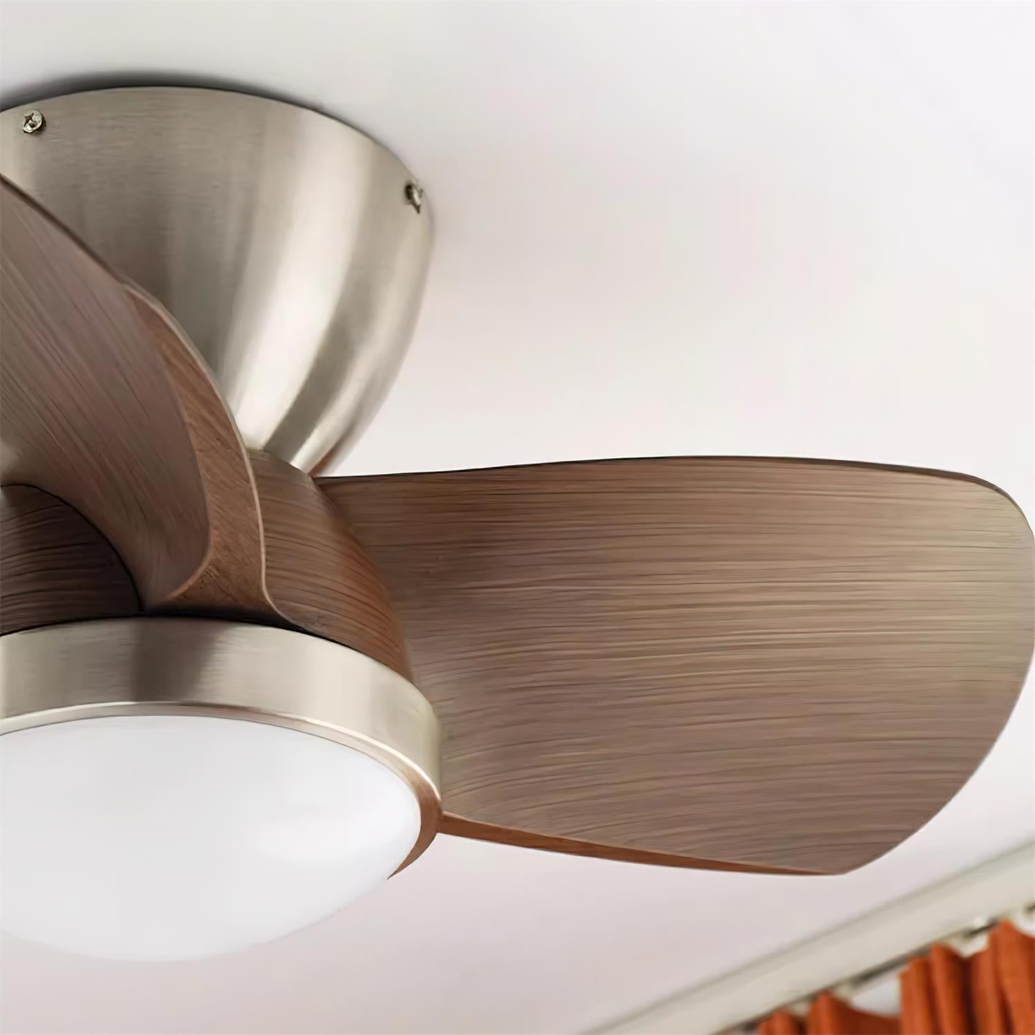 Talaya Ceiling Fan Light