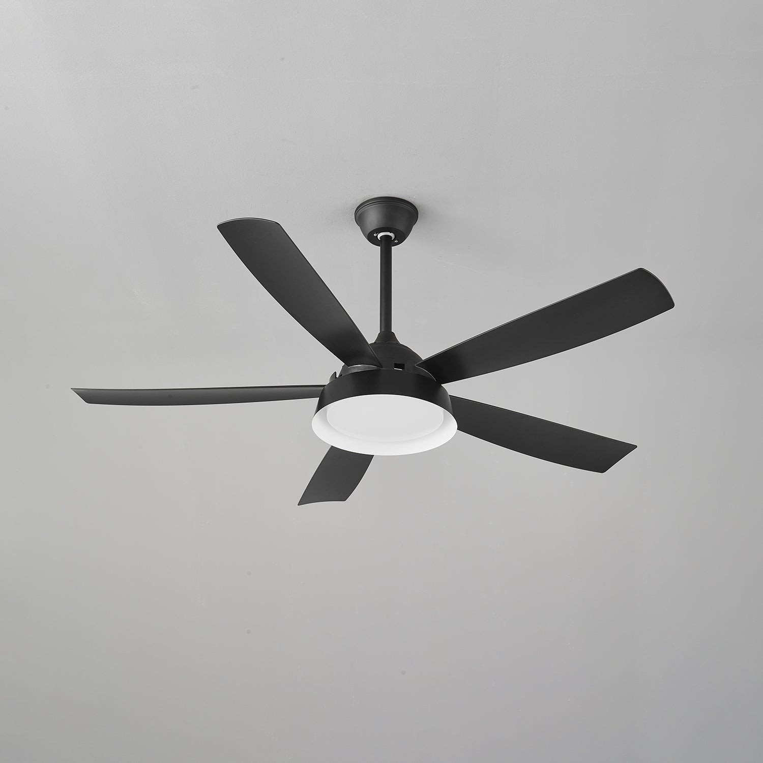 Elysian Ceiling Fan Light