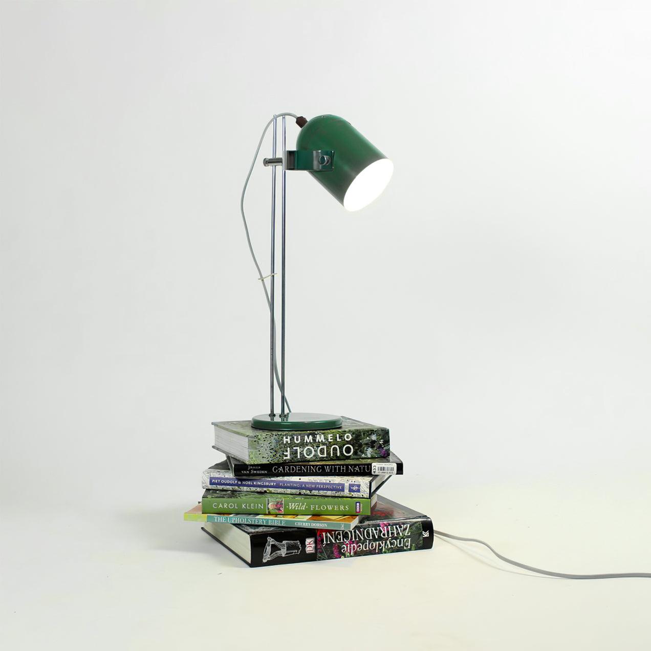 Adjusta Liftable Desk Lamp