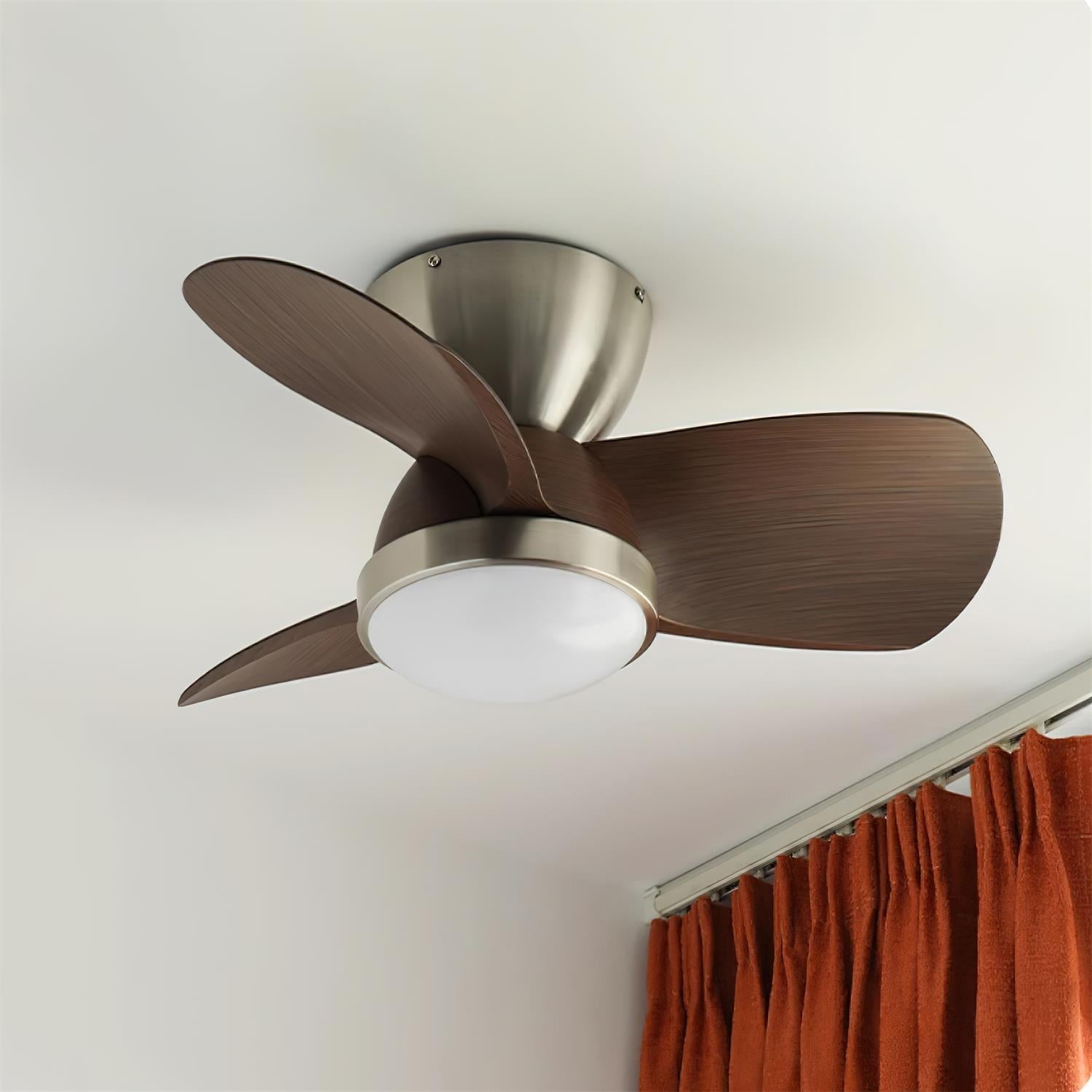 Talaya Ceiling Fan Light