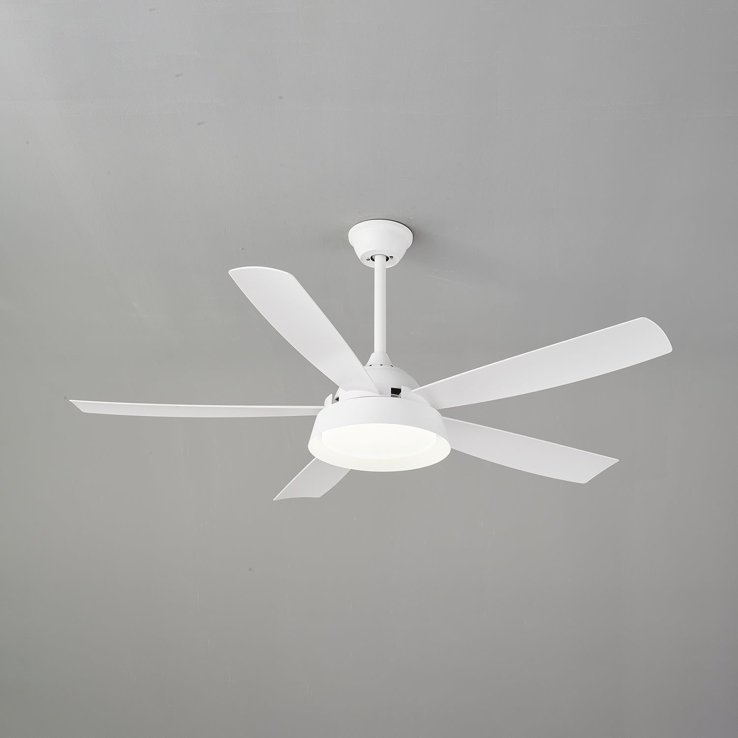 Elysian Ceiling Fan Light