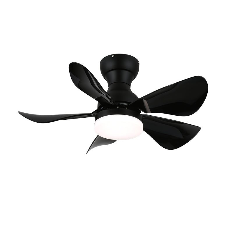 Small Arilia 29 Ceiling Fan Light