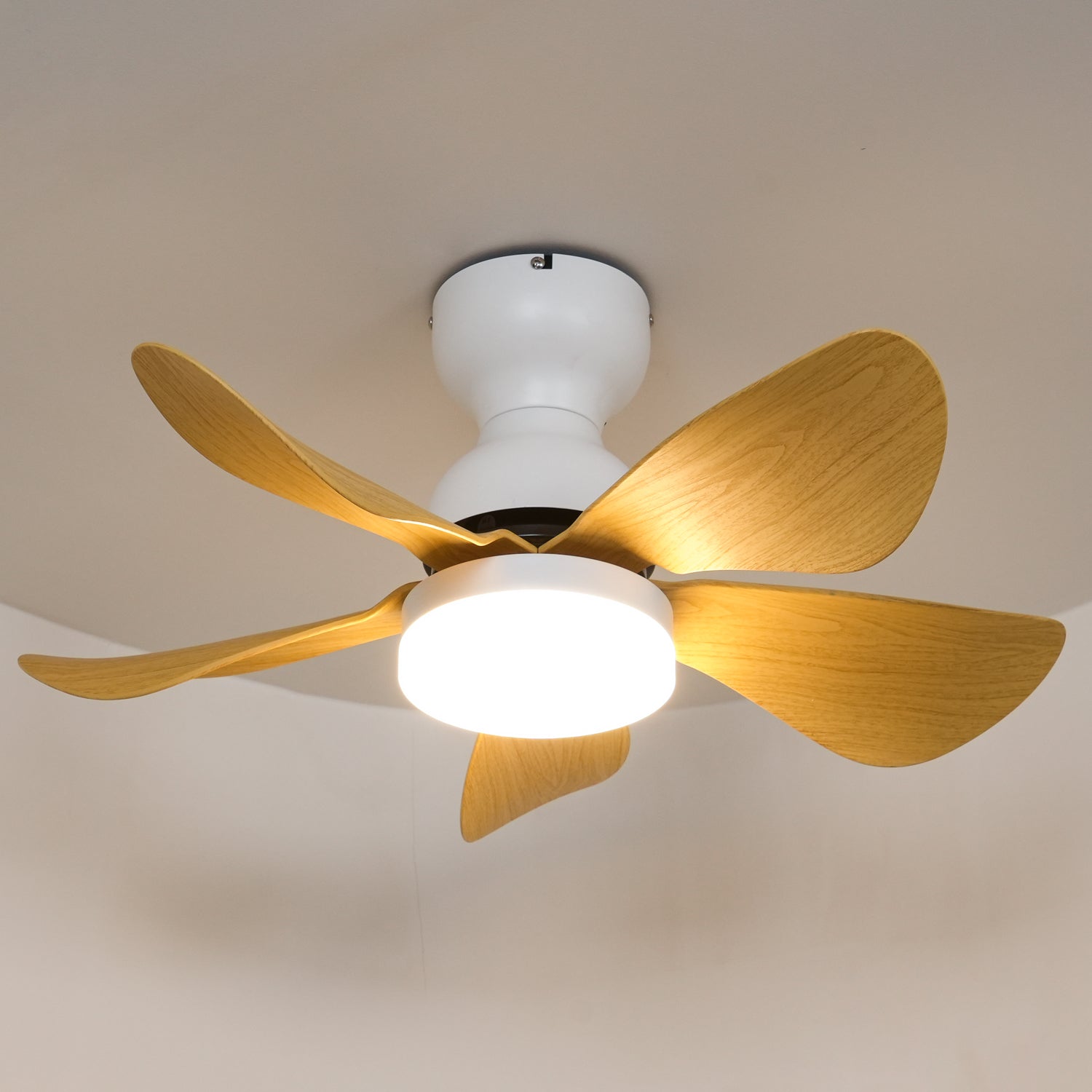 Small Arilia 29 Ceiling Fan Light