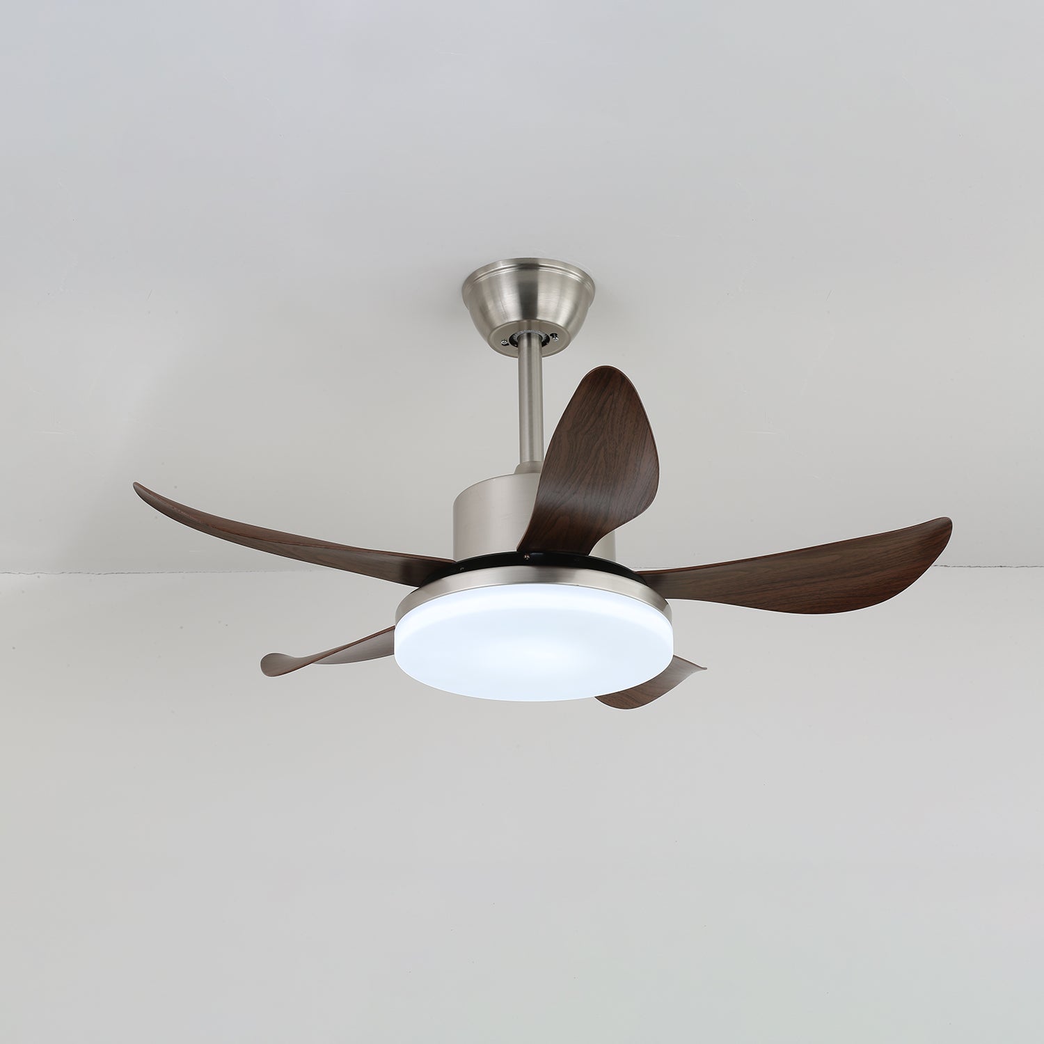 Oliver Ceiling Fan Light