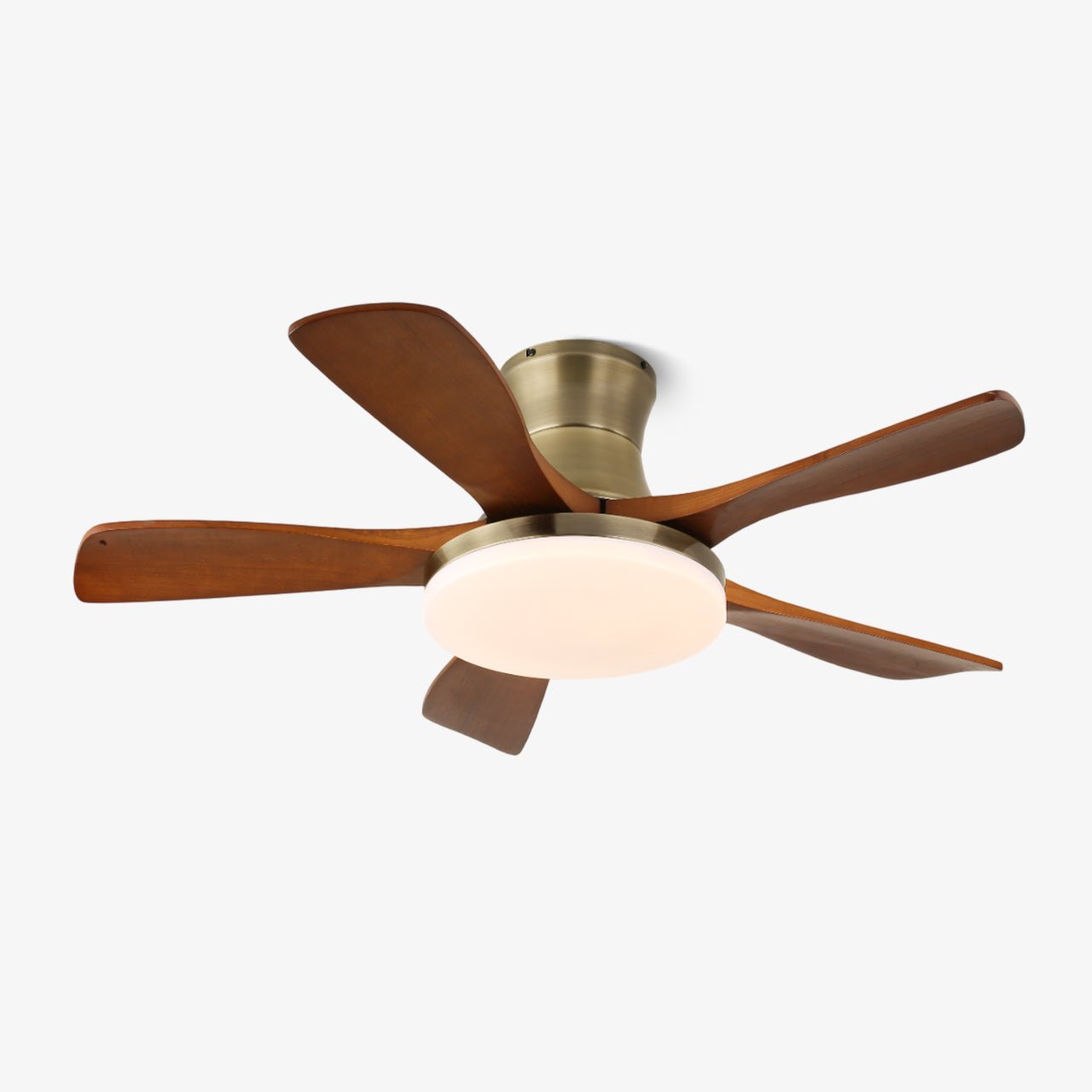 Liam Ceiling Fan Light