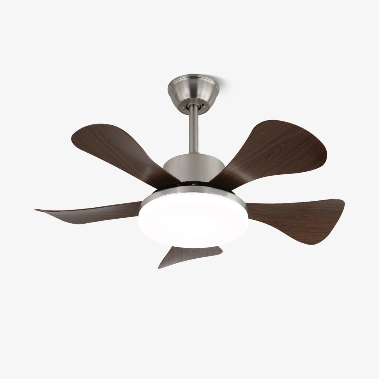 Vivian Ceiling Fan Light