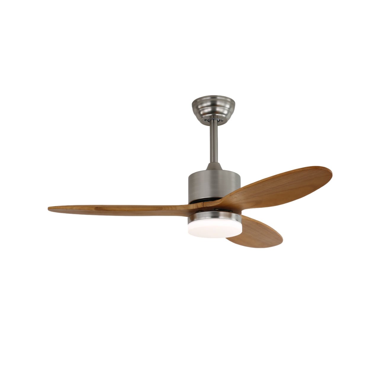 Polaris Ceiling Fan Light