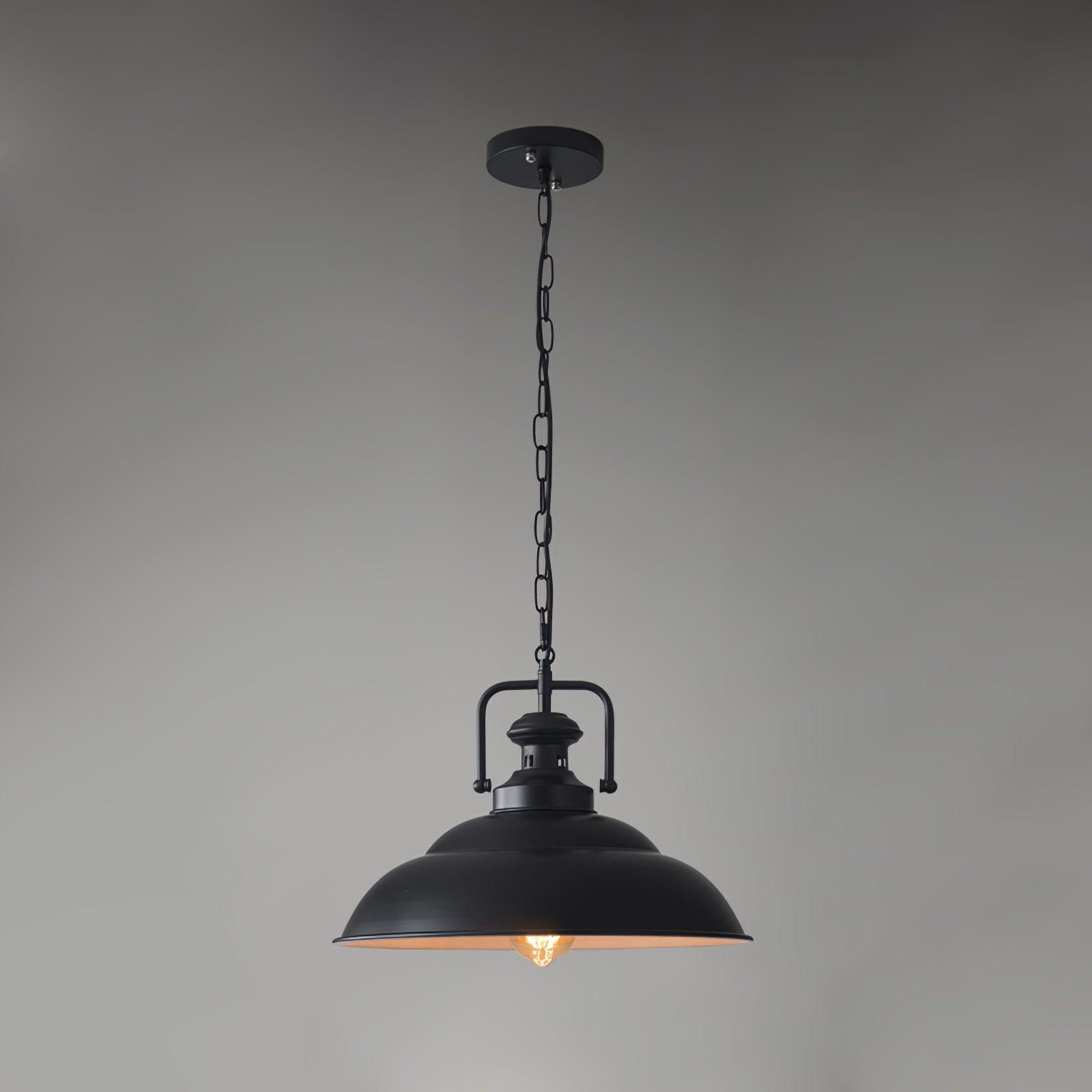 Vintage Industrial Collections Pendant Light