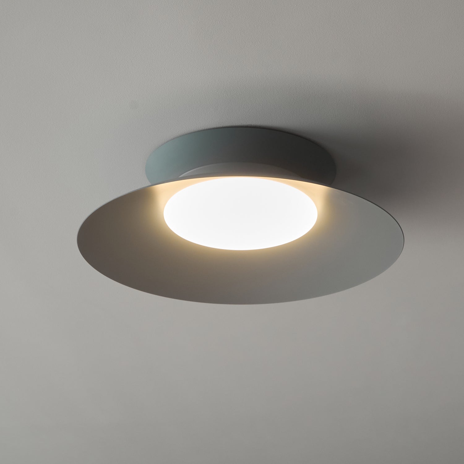 Cetra Ceiling Light