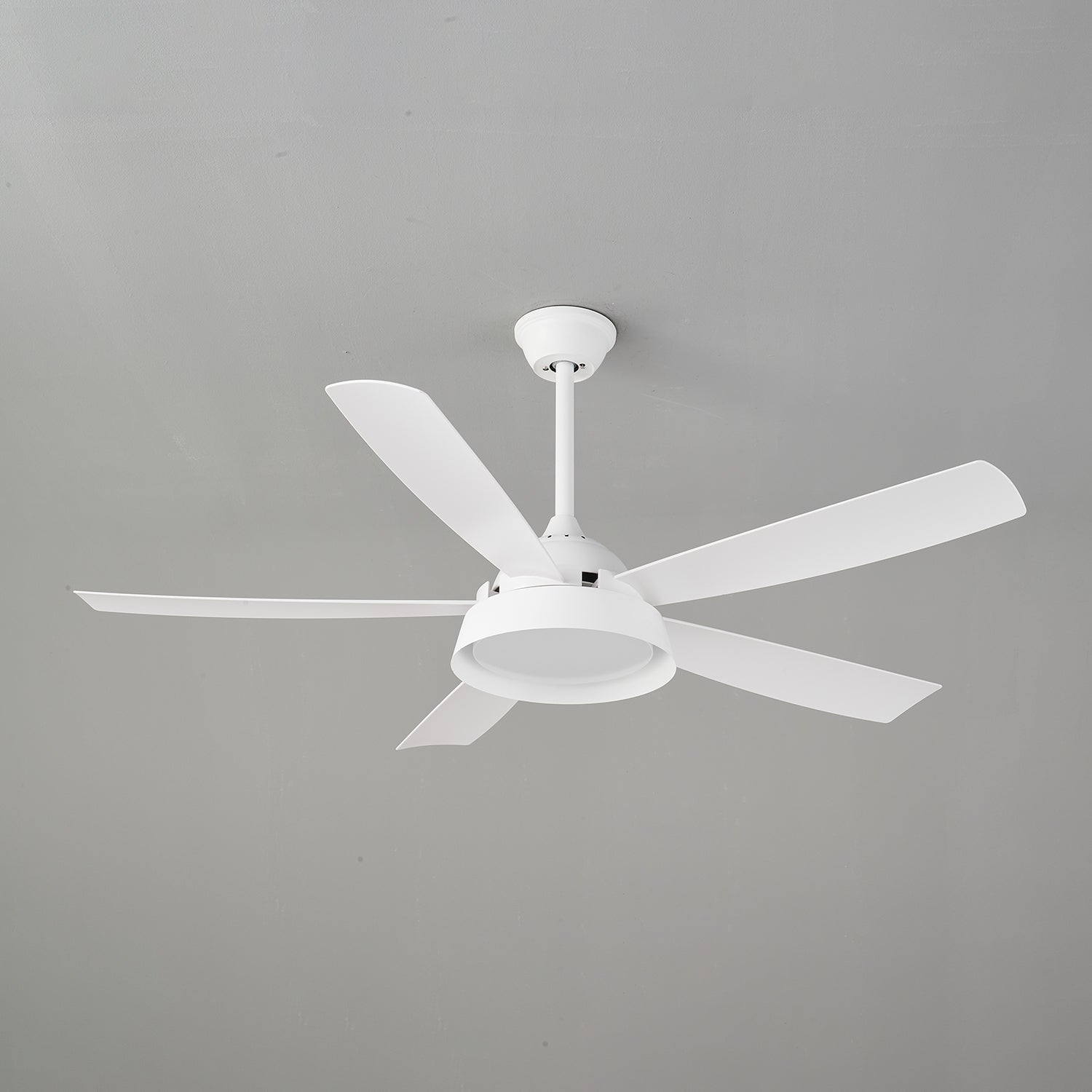 Elysian Ceiling Fan Light